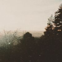 Отстранение - Отстранение