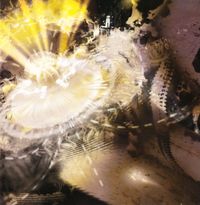 OOO - Aether Dynamic