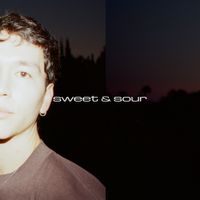 rei brown - Sweet & Sour