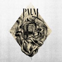 Palm - The Unusual