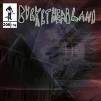 Buckethead - The Wishing Brook