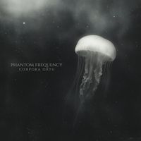 Phantom Frequency - Corpora Ortu