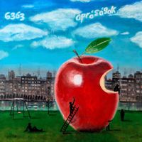 6363 - apr&oacute;s&aacute;gok