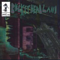 Buckethead - Space Viking