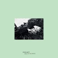 Steve Hiett - Girls in the Grass