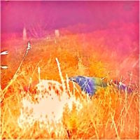 rosie push - reciprocal altruism