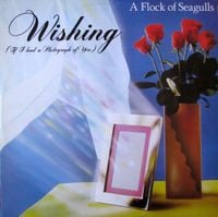 A Flock of Seagulls - Wishing (If I Had a Photograph of You)