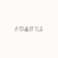 Золотые зубы [Gold Teeth] - Swag №3