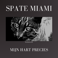 Spate Miami - Mijn Hart Precies