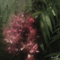 buscopaz - Birdsongs