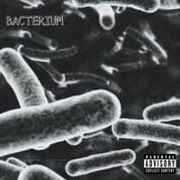 peacock - BACTERIUM
