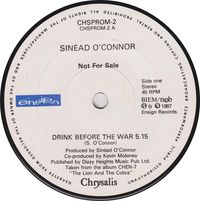 Sinéad O'Connor - Drink Before The War