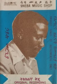 ኃይሉ መርጊያ [Hailu Mergia] - Amharic Songs by Instrumental Only