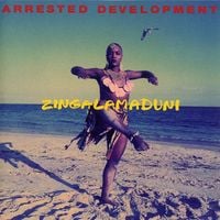 Arrested Development - Zingalamaduni