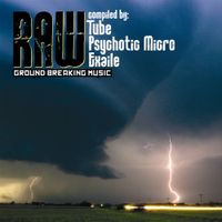 Various Artists - Raw