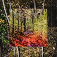 Bon Iver - We