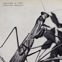 Courtney Barnett - Mantis / Sugar Plum