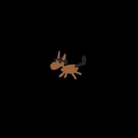 envyhoes - ANNO DEL CAVALLO