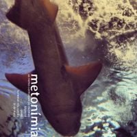 meton&iacute;mia - meton&iacute;mia