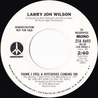 Larry Jon Wilson - Think I Feel a Hitchhike Coming On