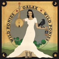 Wild Ponies - Galax