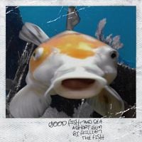 frilliam the fish - good fish, m.A.A.d sea