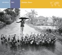 Various Artists - EXPLORER SERIES: INDONESIA - Bali: Golden Rain