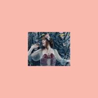 Florence + the Machine - Lungs (10th Anniversary Edition)