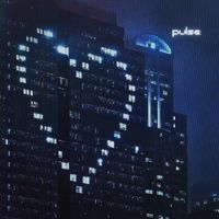 Adam Wan - Pulse