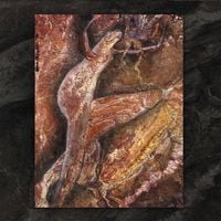Coil - Swanyard