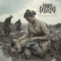 Virtue of Decay - The Insignificance of Despair