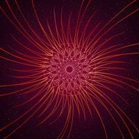 Echoes And Signals - Solar