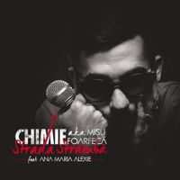 Chimie - Strada Stramba