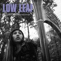 Low Leaf - Baker's Dozen: Low Leaf