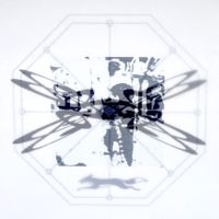 amil raja - swings and roundabouts
