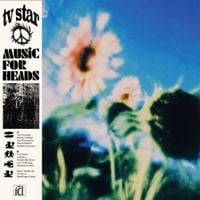 TV Star - Music For Heads