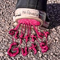 no flowers - Glitter Guts