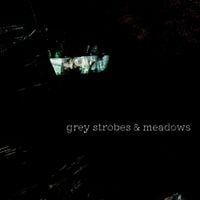 Mars Octubre - Grey Strobes & Meadows