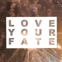 WU LYF - Love Your Fate