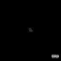Eli - A Huge Dark Room With The Picture of a Dog Framed In The Wall