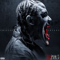 Twisted Insane - Sick James