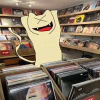 Schizocat - Idiot of The Year