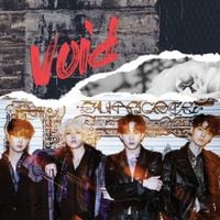더 로즈 [The Rose] - Void