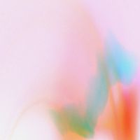 The Veils - Lungs