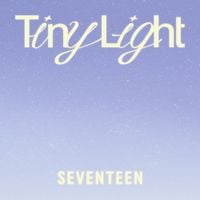 SEVENTEEN - Tiny Light