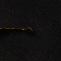 Black Reuss - Death