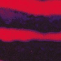 ACID ACID - ACID ACID
