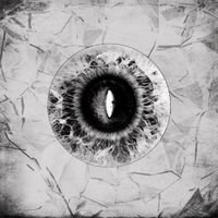 Celestial Wolves - Illusive Landscape Of Expression