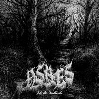 Ashes - Into the Woodlands