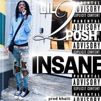 lil2posh - insane